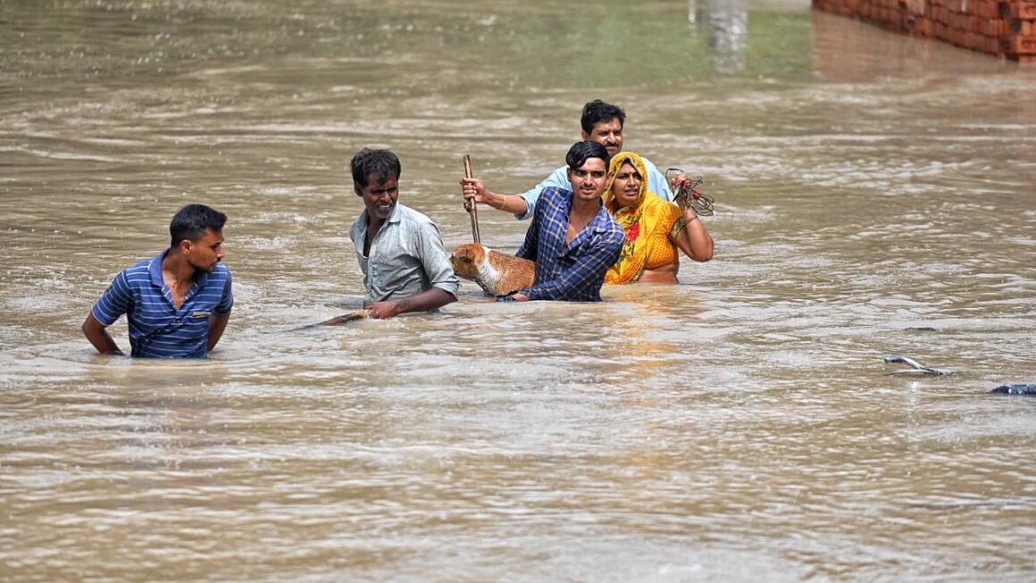 दिल्ली के निचले इलाकों में बाढ़ के बाद 1,000 से अधिक लोगों और 500 मवेशियों को बचाया गया