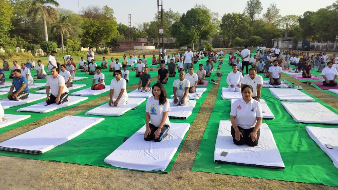 नई दिल्ली के प्रमुख उद्यानों में एनडीएमसी योग शिविरों का आयोजन पूरे जोरों पर