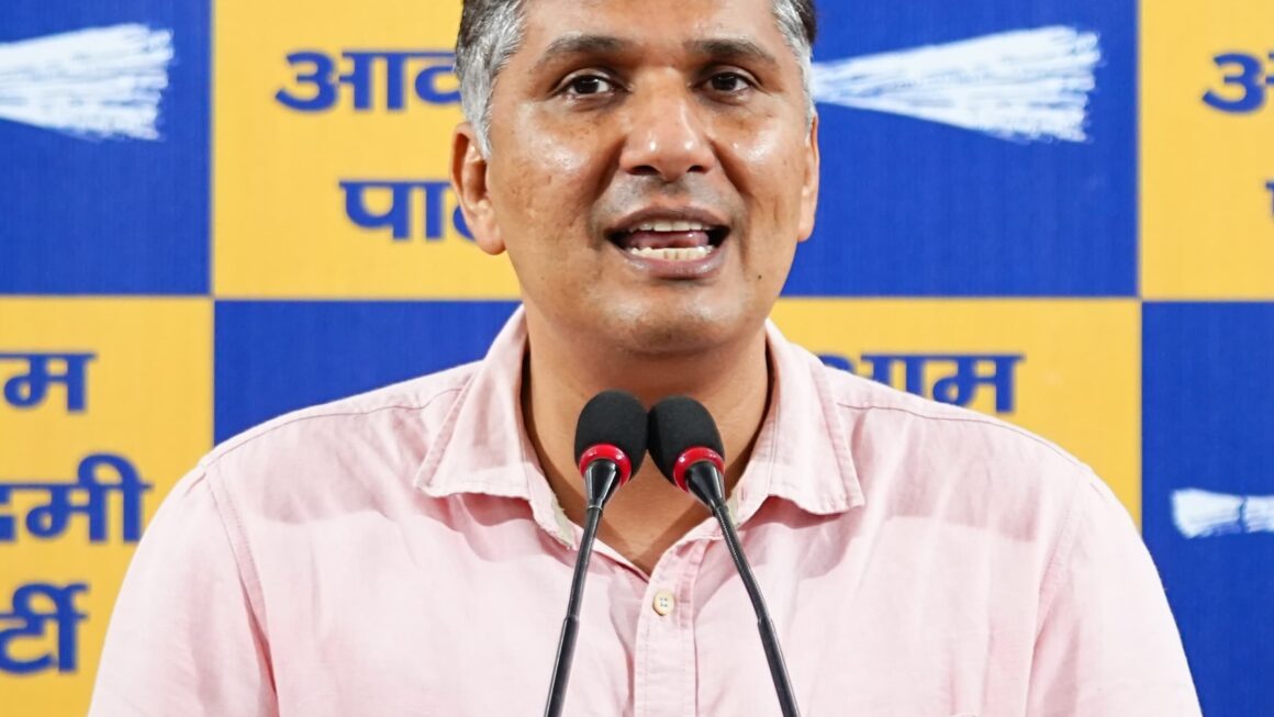 ‘दिल्ली में भाजपा फुलेरा की पंचायत चला रही, इन्हें काम करना नहीं आता’ : सौरभ भारद्वाज