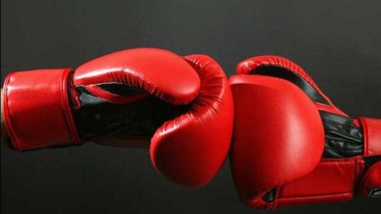 Boxing Federation of India Elections