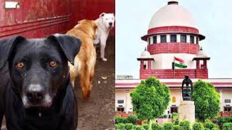 सुप्रीम कोर्ट परिसर में बढ़ा डॉग बाइट का खतरा, वकील ने पत्र लिखकर की कार्रवाई की मांग